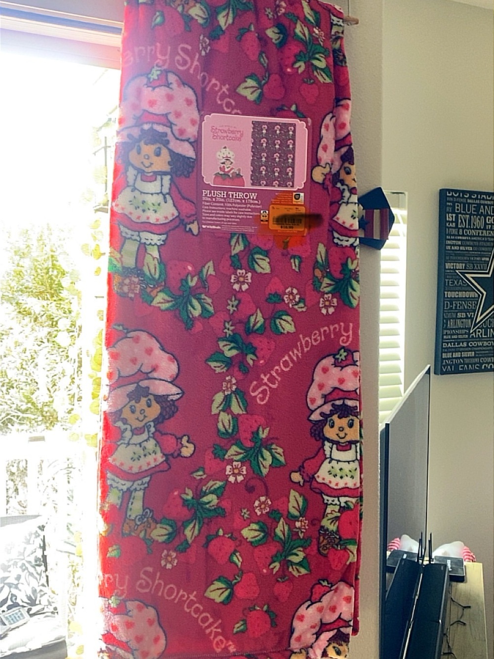 Strawberry Shortcake Pink Plush Throw Blanket